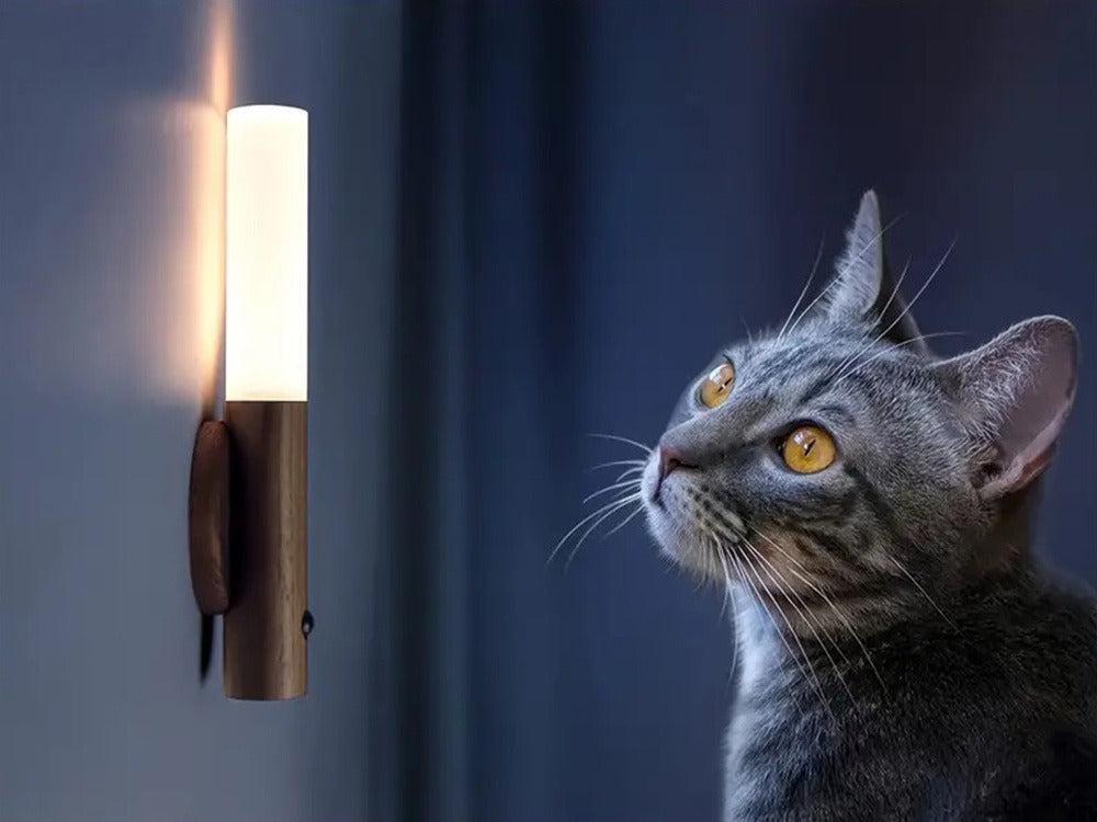 Rechargeable Motion Sensor Night Light – Magnetic Wall Lamp